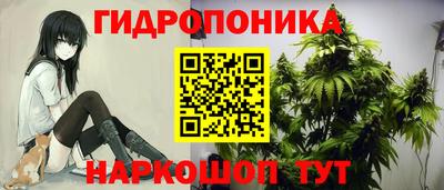 сатива Донской