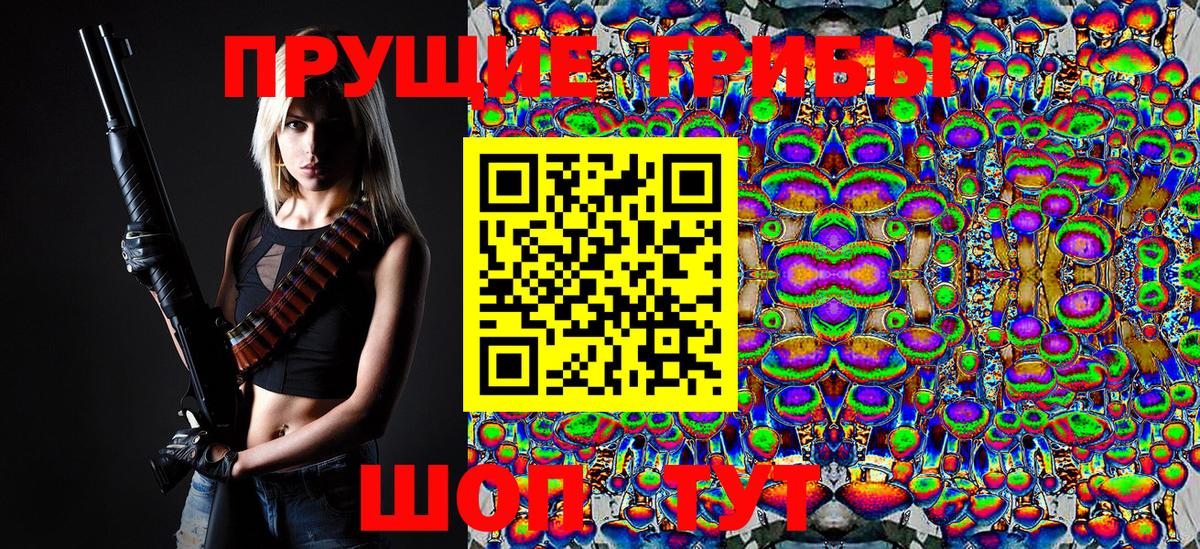 Минеральные Воды  Псилоцибиновые грибы Psilocybe  Вход с VPN  Псилоцибиновые грибы Psilocybe 